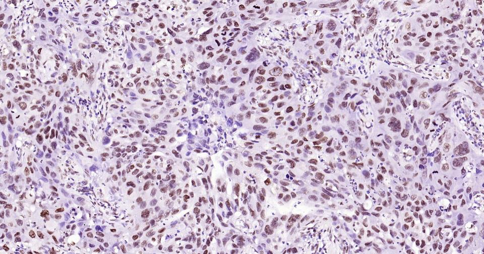 产品细节图片26