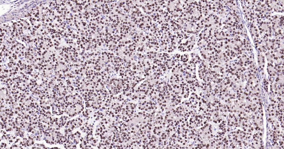 产品细节图片12