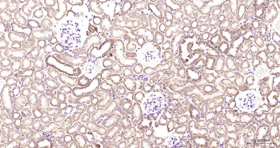 产品细节图片13