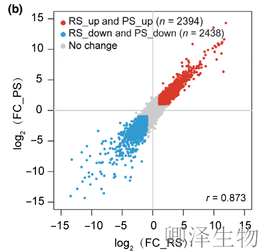 超越转录组，您的翻译组学研究最佳合作伙伴， 让核糖体的“工作实况”一目了然