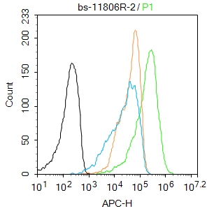 ATXN10 Rabbit pAb(bs-11806R)-5