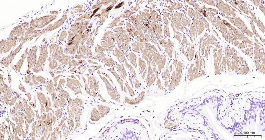 产品细节图片12