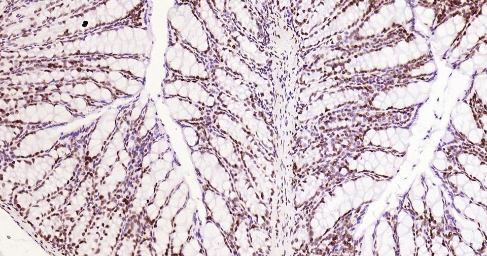 产品细节图片18