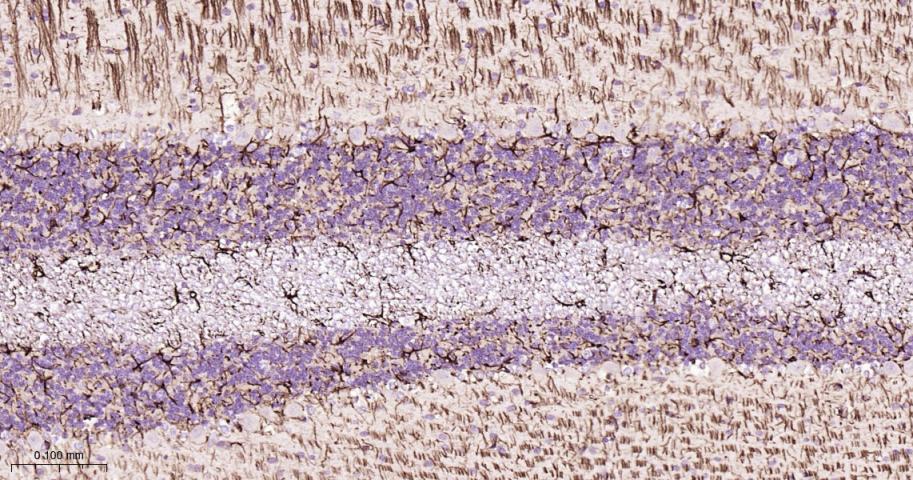 产品细节图片10