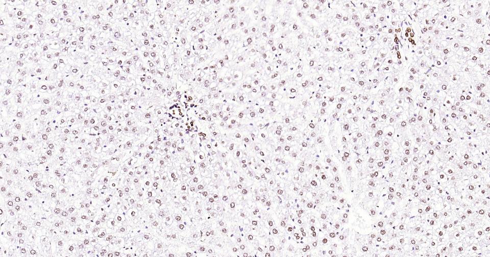 产品细节图片23