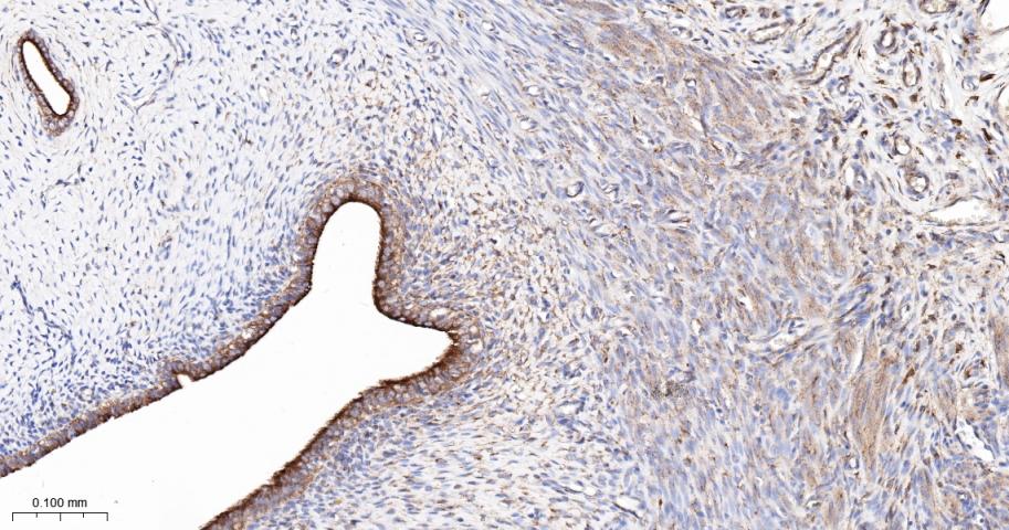 产品细节图片10