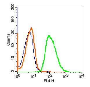 Phospholipase C beta 2 Rabbit 