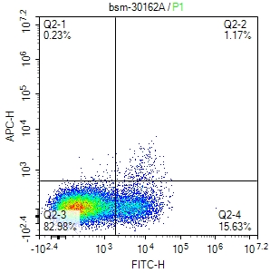 mouse CD86 Rat mAb(bsm-30162A)