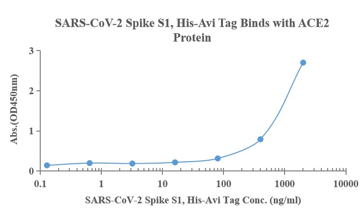 Recombinant SARS-Cov-2 Spike S