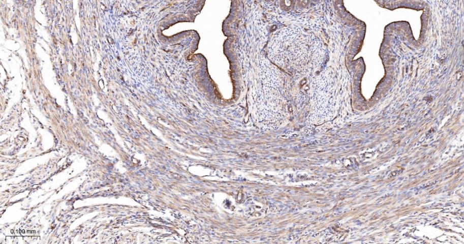 产品细节图片11
