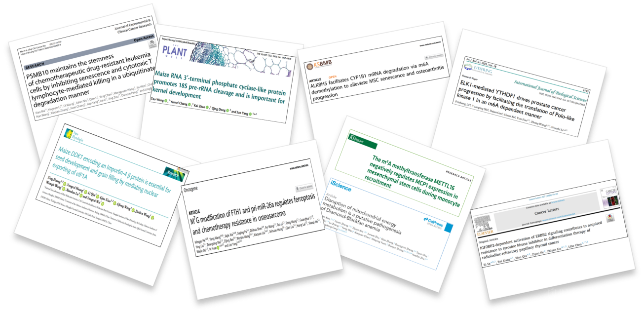 超越转录组，您的翻译组学研究最佳合作伙伴， 让核糖体的“工作实况”一目了然