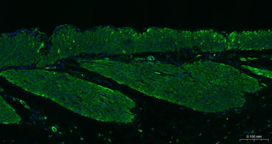 产品细节图片11