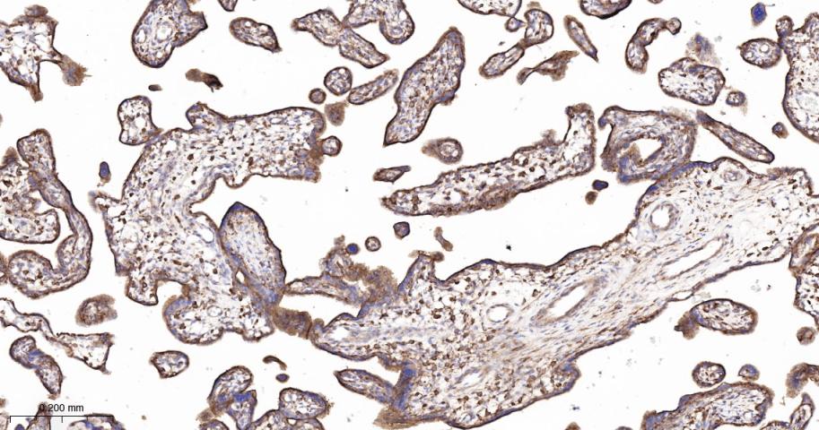 产品细节图片15