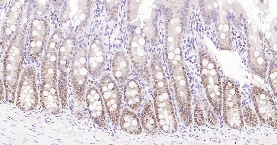 产品细节图片10