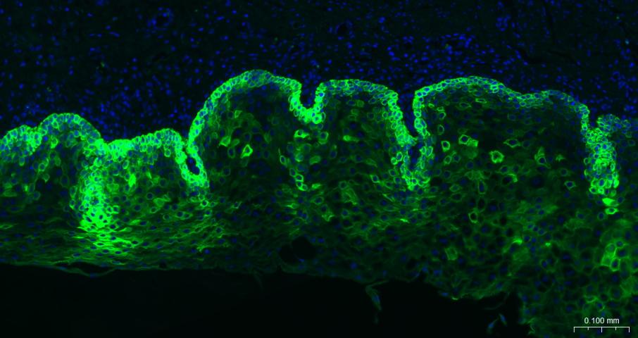 产品细节图片13