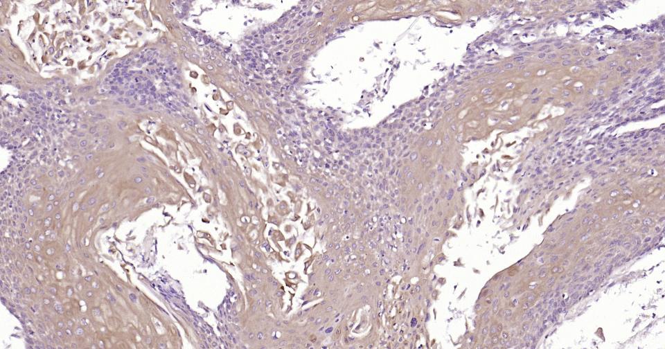 产品细节图片12