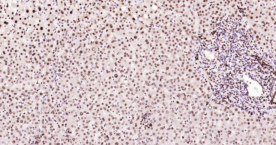 产品细节图片24