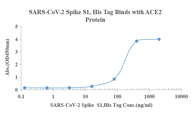 Recombinant SARS-Cov-2 Spike S