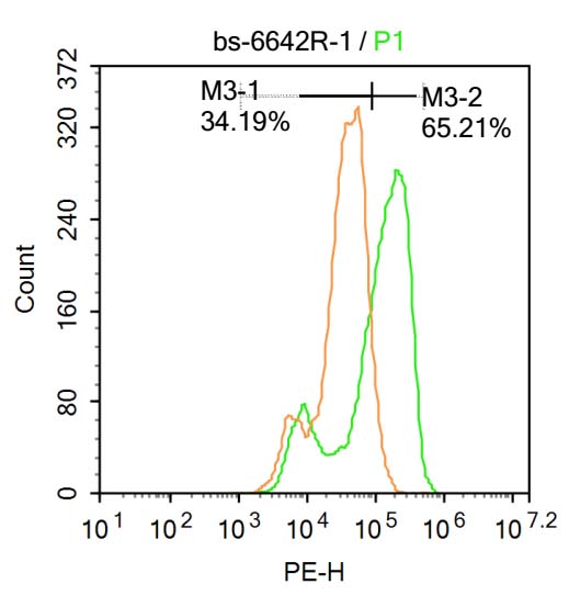 FREAC3 Rabbit pAb(bs-6642R)-50