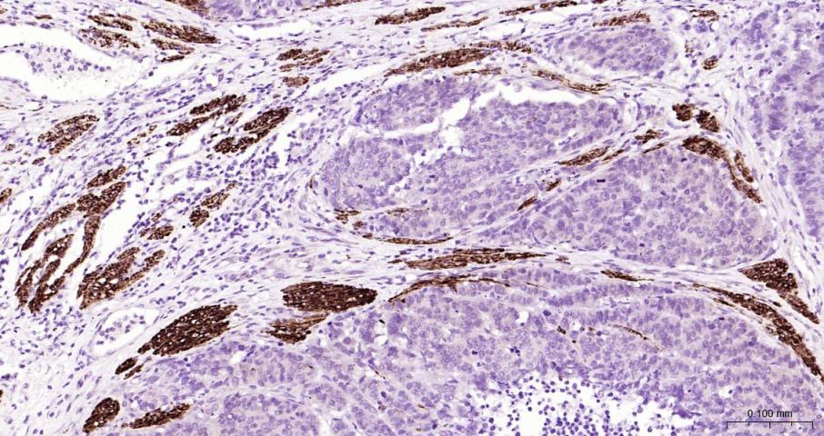 产品细节图片11