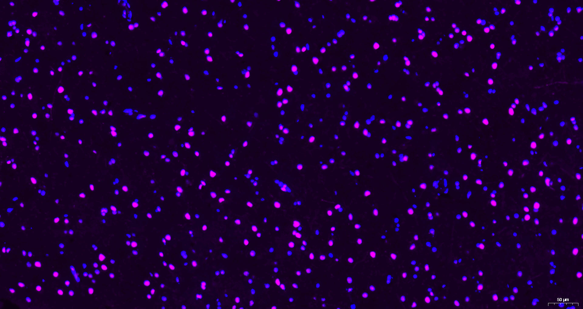 产品细节图片13