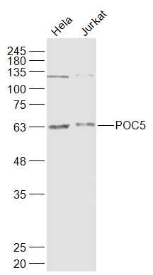 产品细节图片2