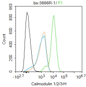 Calmodulin 1/2/3 Rabbit pAb(bs