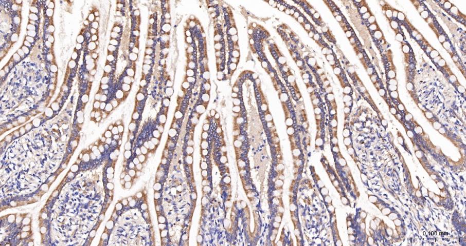 产品细节图片18