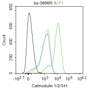 Calmodulin 1/2/3 Rabbit pAb(bs