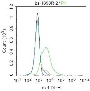 ox-LDL Rabbit pAb(bs-1698R)-50