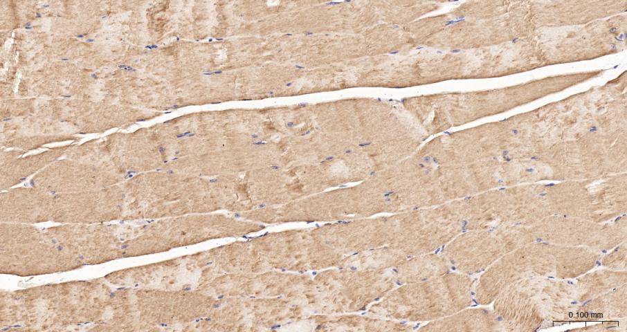 产品细节图片15