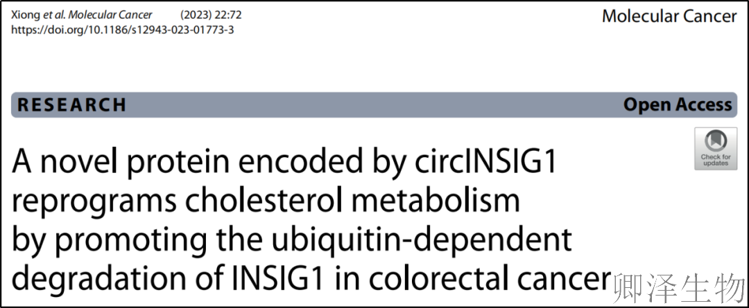 超越转录组，您的翻译组学研究最佳合作伙伴， 让核糖体的“工作实况”一目了然