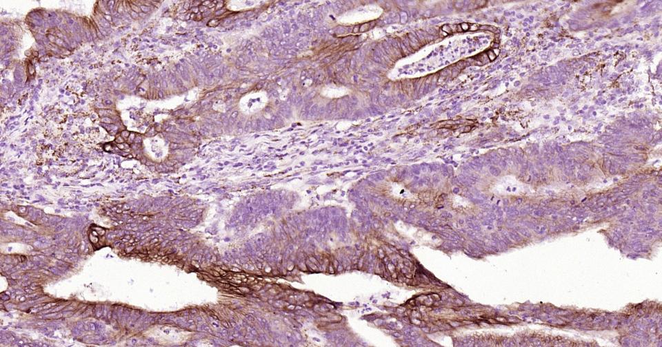 产品细节图片11