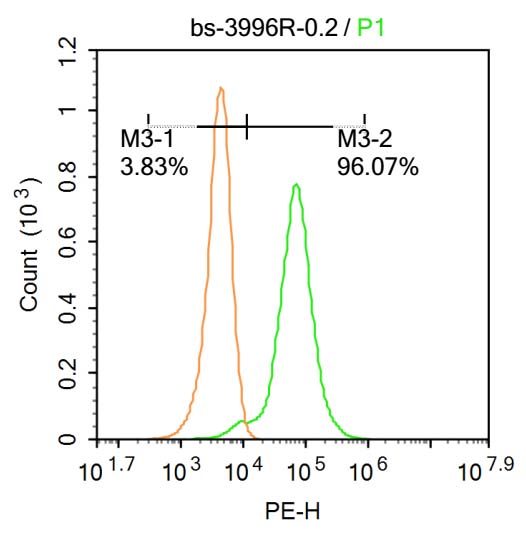 MDH1 Rabbit pAb(bs-3996R)-50ul