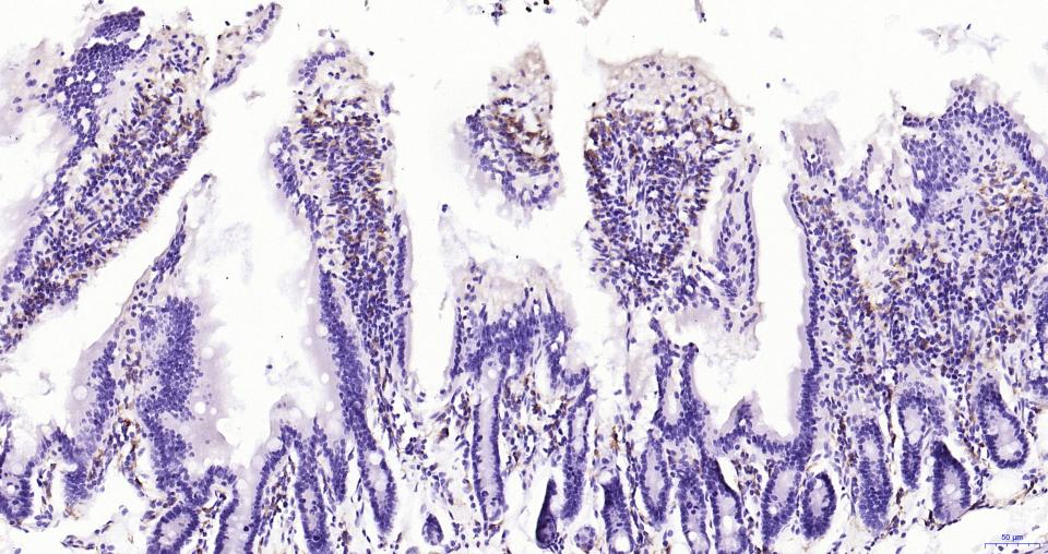 产品细节图片14