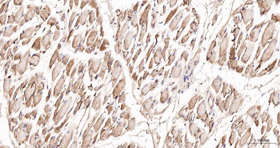 产品细节图片14