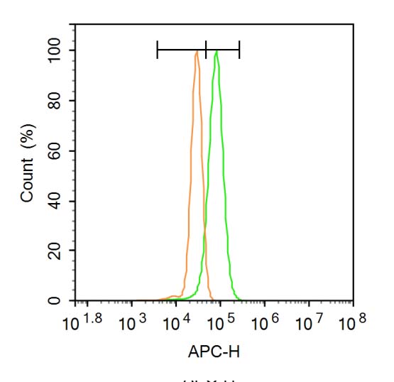 RRBP1 Rabbit pAb(bs-6574R)-50u