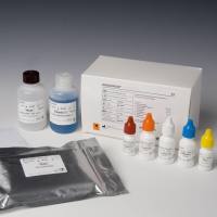 人莱姆病IgG抗体（Lyme IgG AB）ELISA检测试剂盒