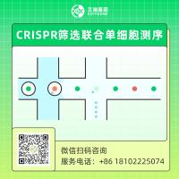 CRISPR筛选联合单细胞测序（10x Genomics的Chromium单细胞CRISPR筛选）