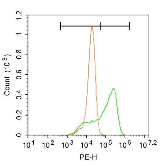 CREM Rabbit pAb(bs-5135R)-50ul