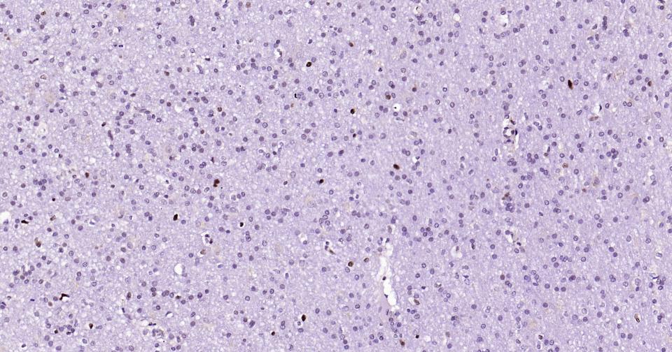 产品细节图片13