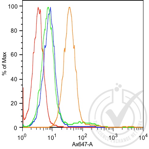 CDH6 Rabbit pAb(bs-5823R)-50ul