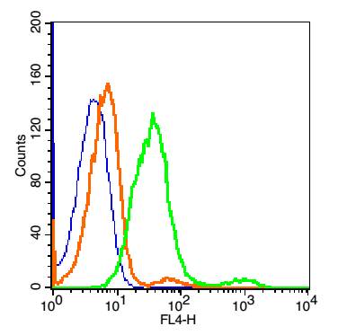 CD200R Rabbit pAb(bs-7351R)-50