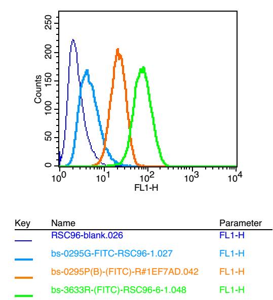Synaptopodin Rabbit pAb(bs-363