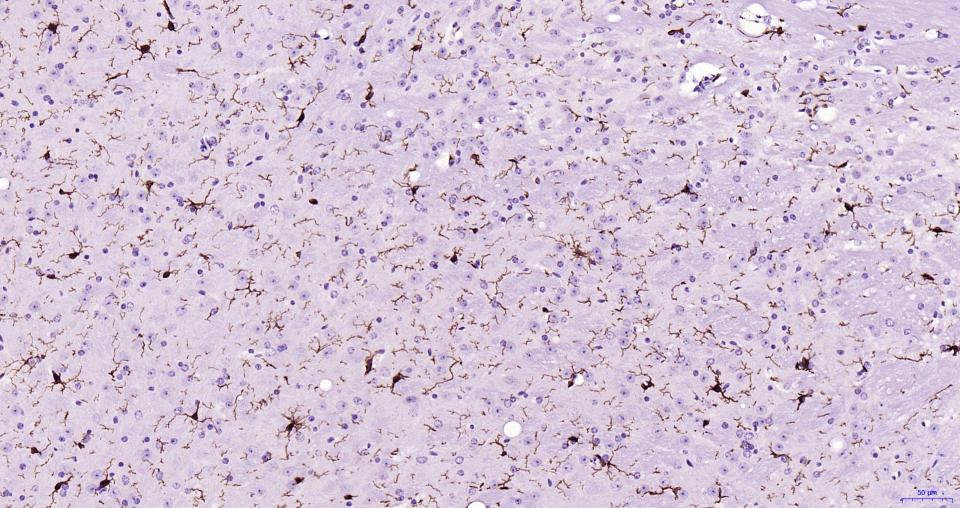 产品细节图片12