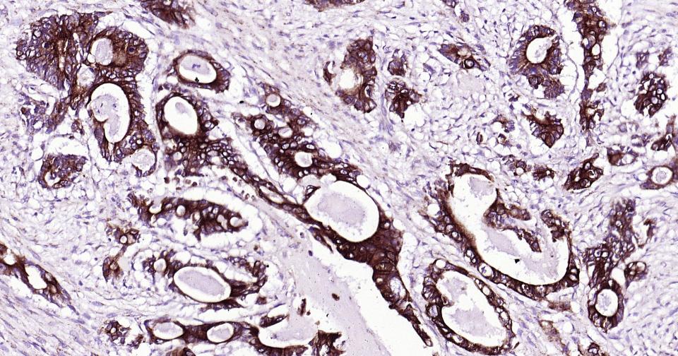 产品细节图片10