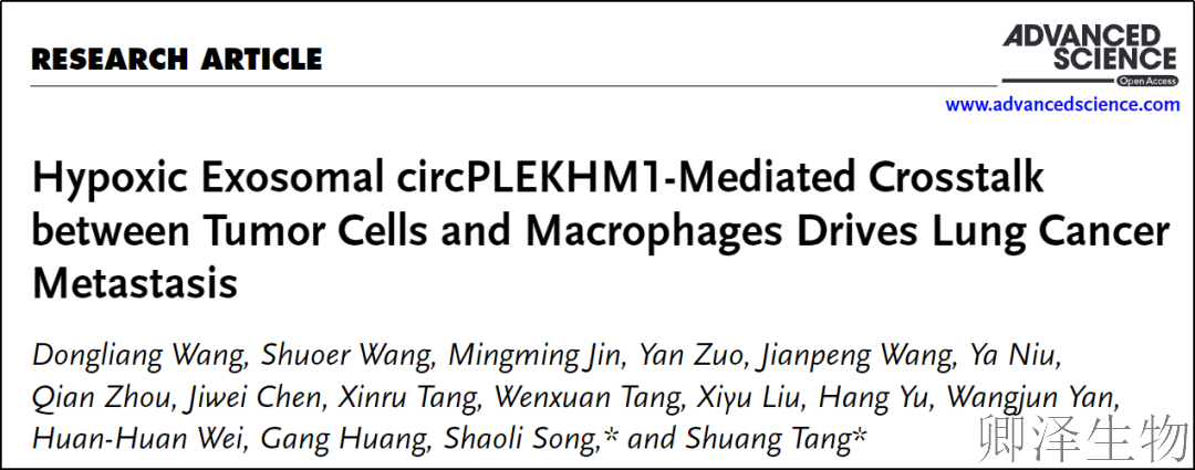 超越转录组，您的翻译组学研究最佳合作伙伴， 让核糖体的“工作实况”一目了然