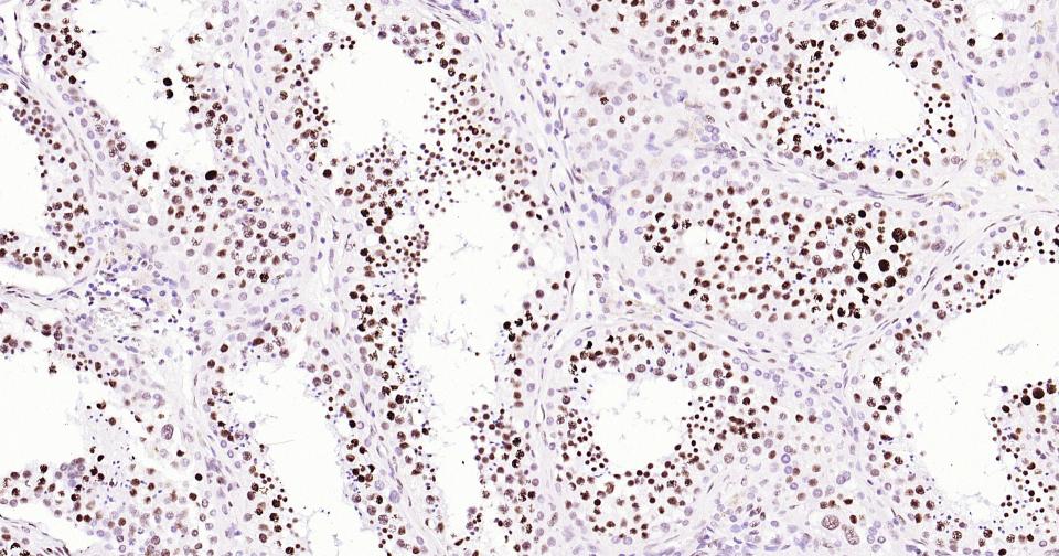 产品细节图片17