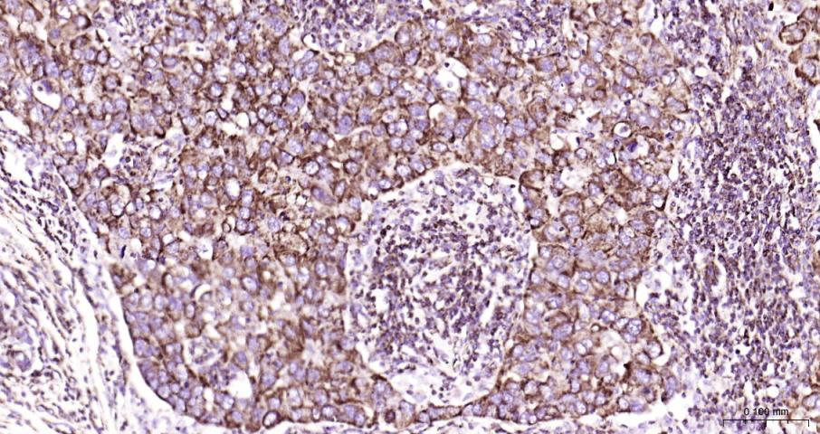 产品细节图片16