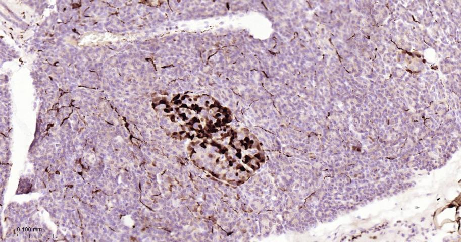 产品细节图片11